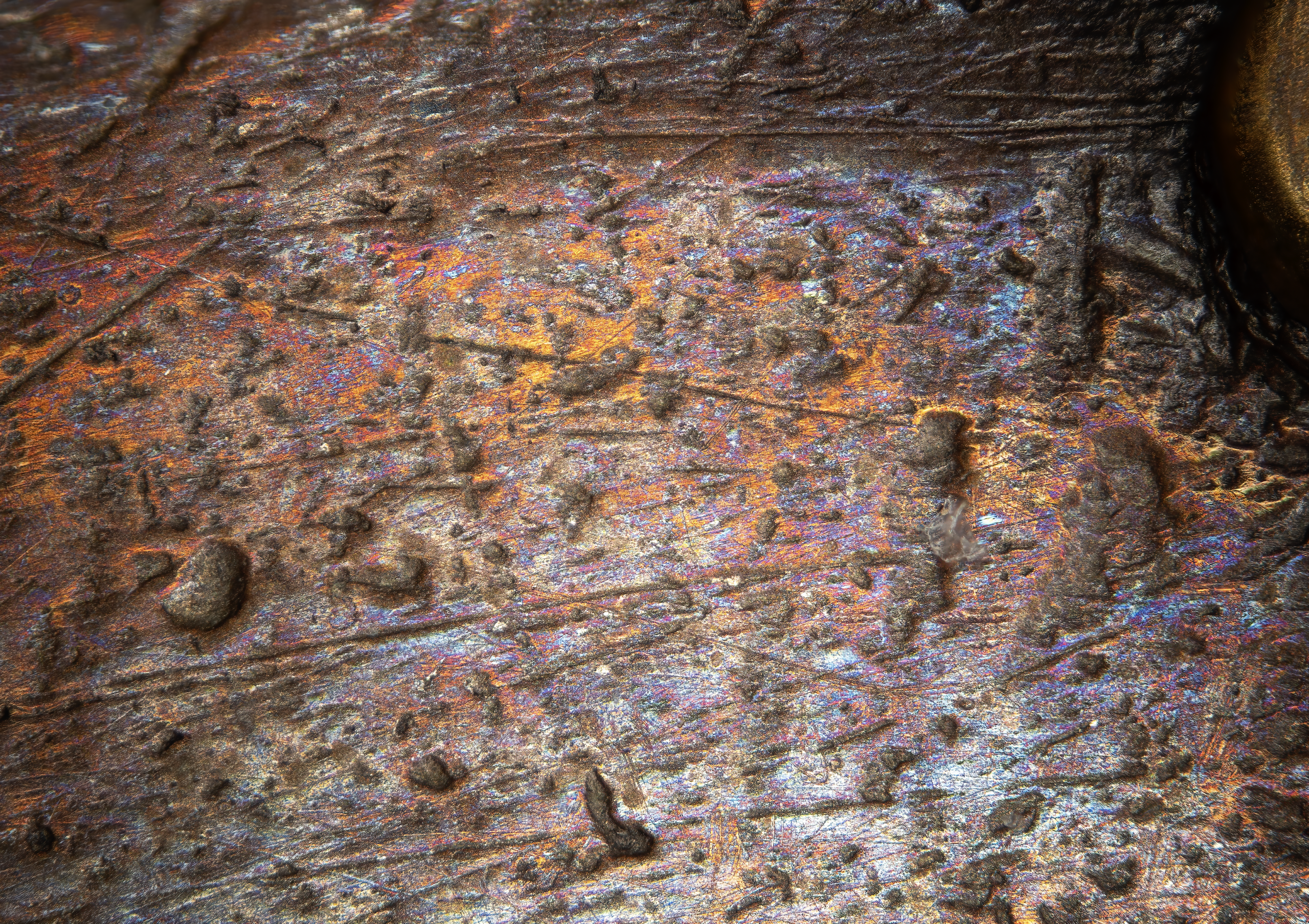 1505 Watch - Hidden Chiffres