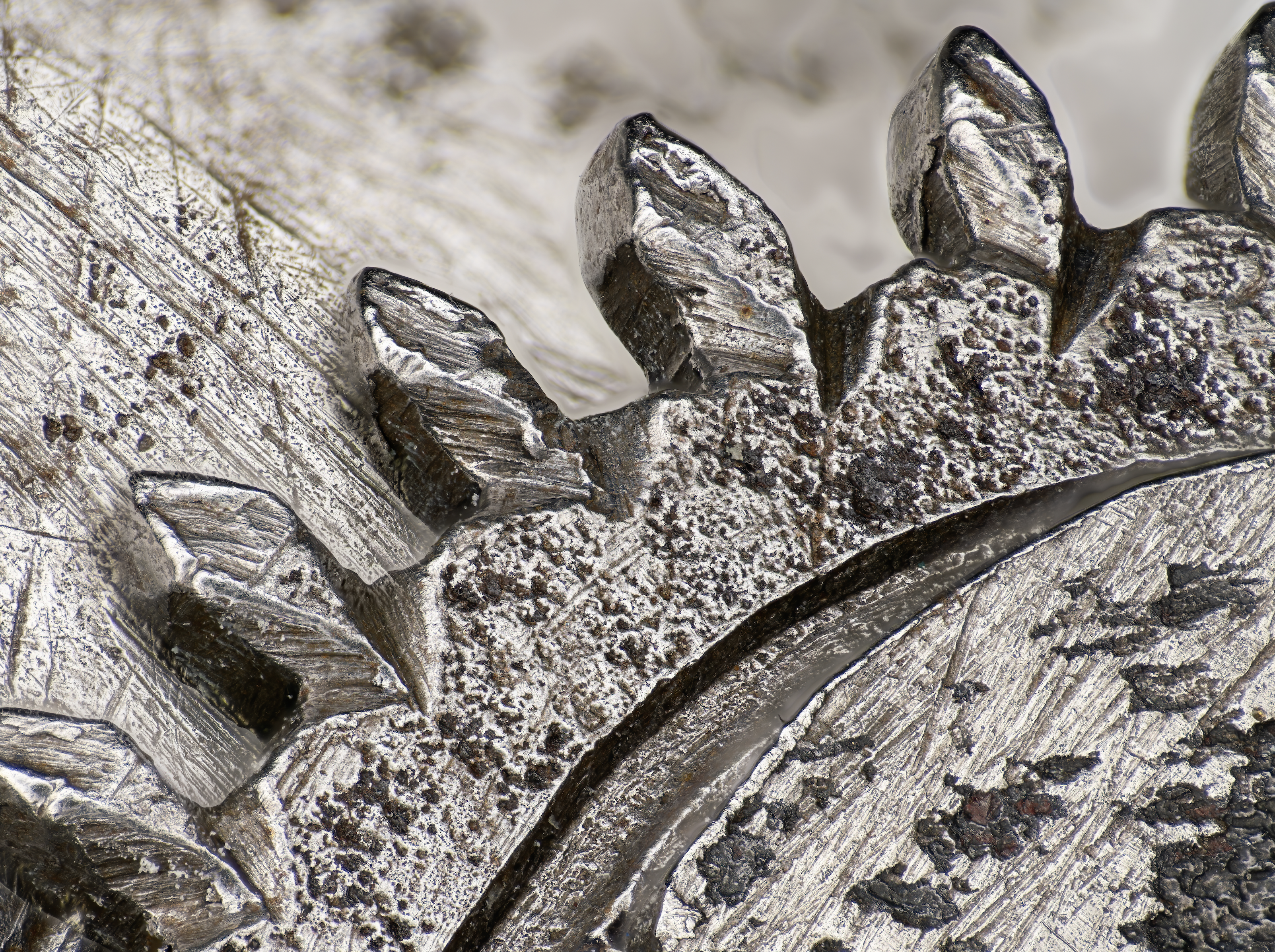 1505_Watch_Movement_Microphotography_4