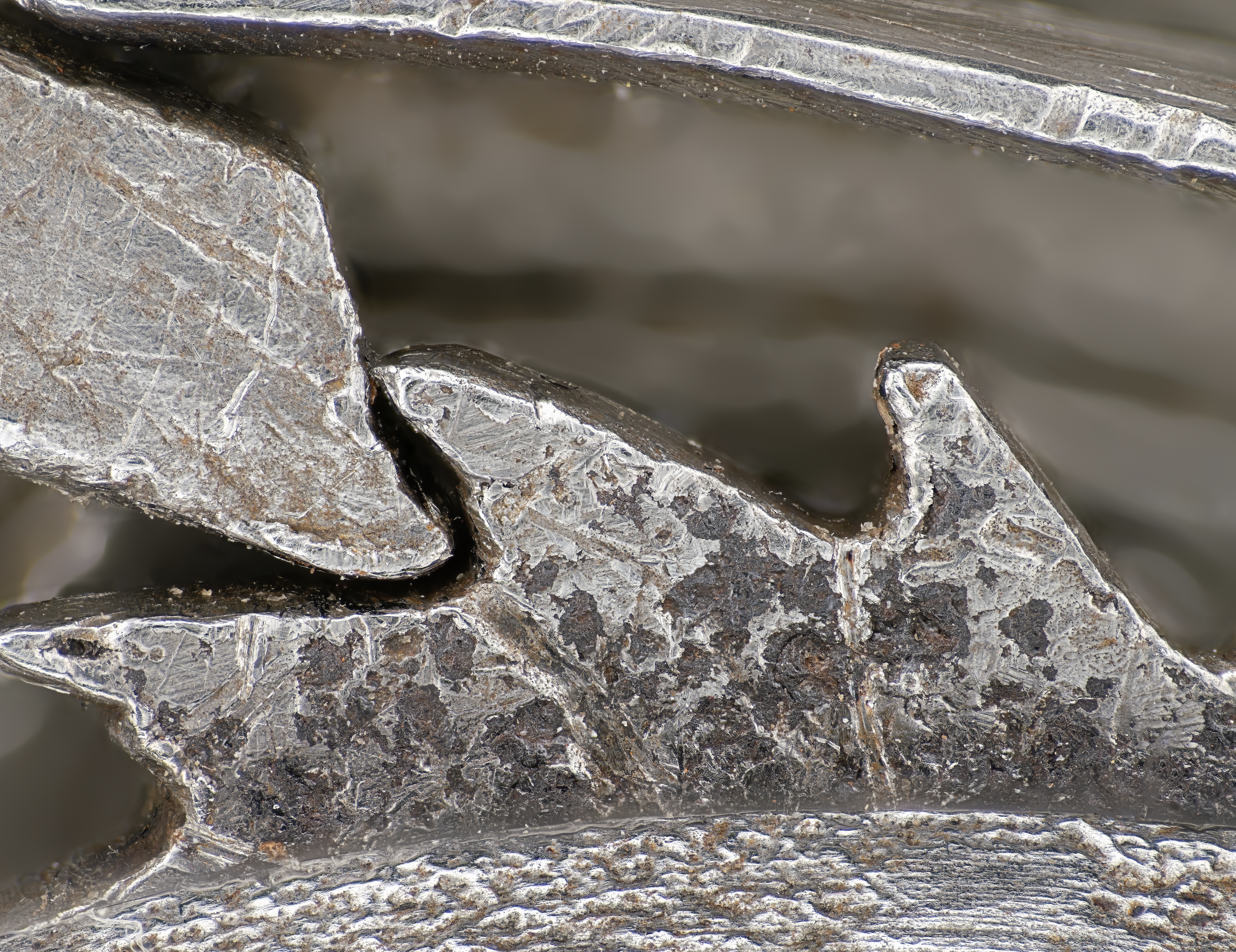 1505_Watch_Movement_Microphotography_2